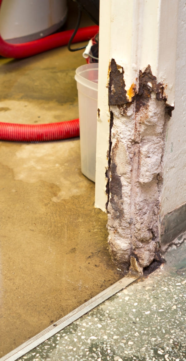 significant flooding has damaged a basement