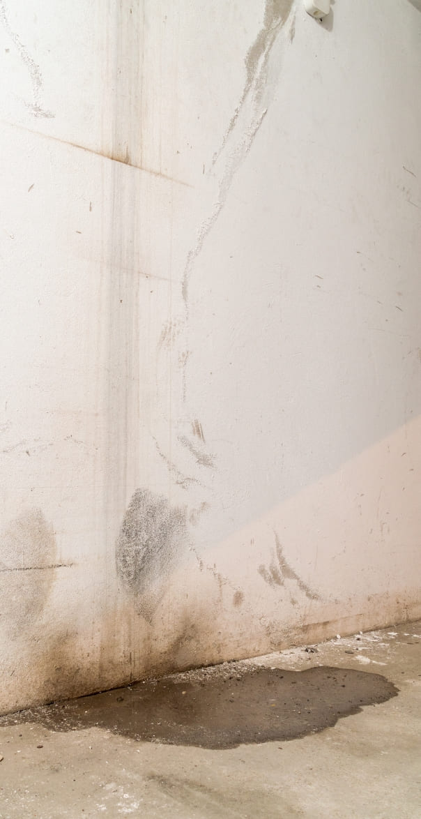 water damage in basement caused by sanitary drain